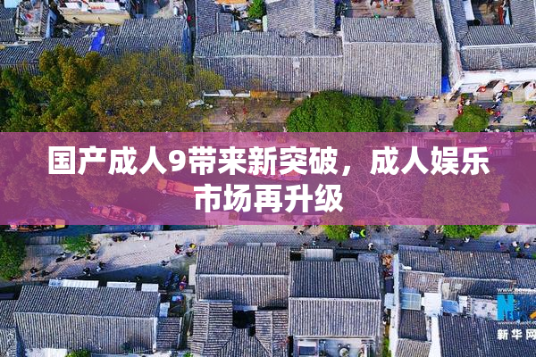国产成人9带来新突破，成人娱乐市场再升级