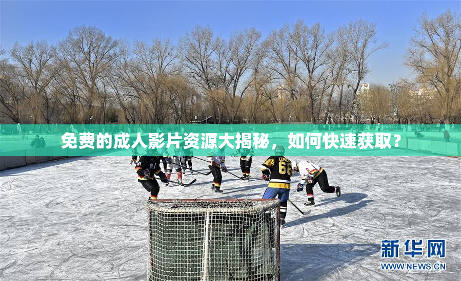 免费的成人影片资源大揭秘，如何快速获取？