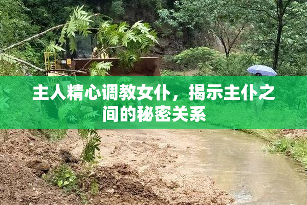 主人精心调教女仆，揭示主仆之间的秘密关系