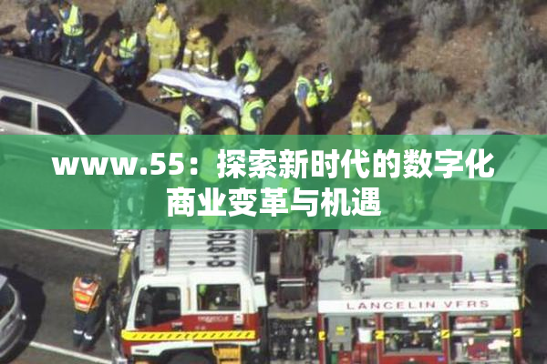 www.55：探索新时代的数字化商业变革与机遇