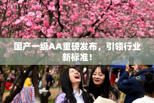国产一级AA重磅发布，引领行业新标准！