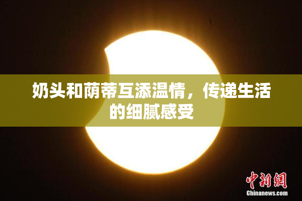 奶头和荫蒂互添温情，传递生活的细腻感受