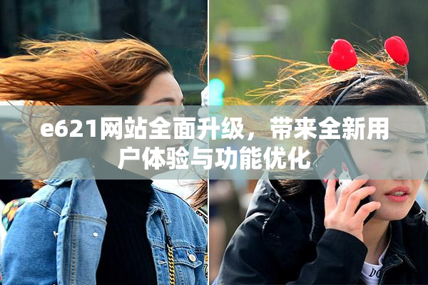 e621网站全面升级，带来全新用户体验与功能优化