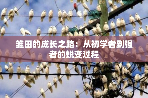 雏田的成长之路：从初学者到强者的蜕变过程