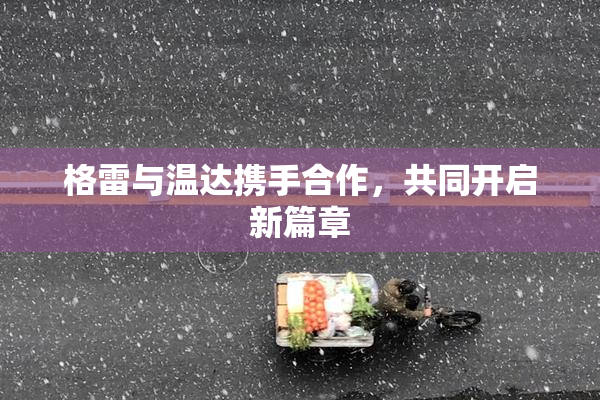 格雷与温达携手合作，共同开启新篇章