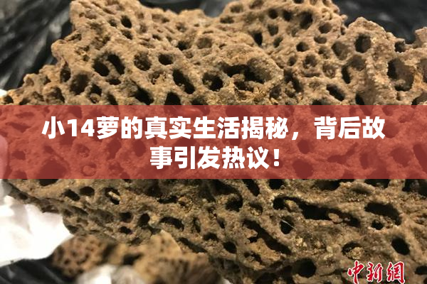 小14萝的真实生活揭秘，背后故事引发热议！