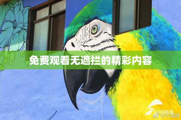 免费观看无遮拦的精彩内容