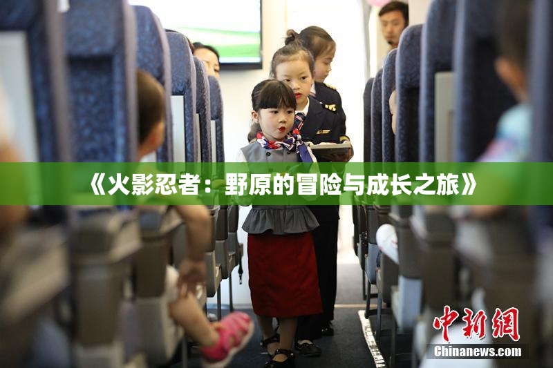 《火影忍者：野原的冒险与成长之旅》