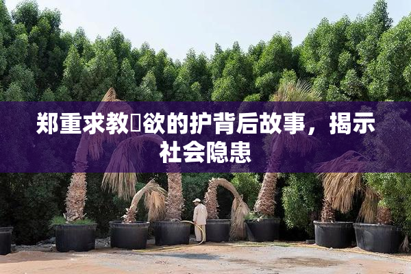 郑重求教婬欲的护背后故事，揭示社会隐患