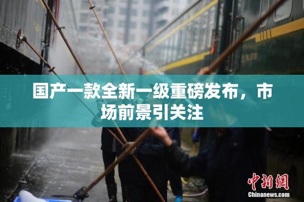 国产一款全新一级重磅发布，市场前景引关注