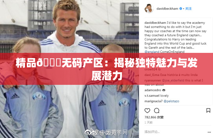 精品🌃无码产区：揭秘独特魅力与发展潜力