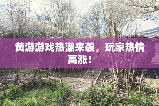 黄游游戏热潮来袭，玩家热情高涨！