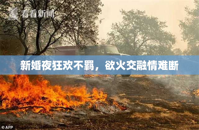 新婚夜狂欢不羁，欲火交融情难断