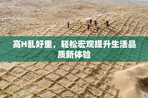 高H乱好重，轻松宏观提升生活品质新体验