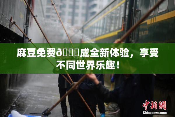 麻豆免费🔞成全新体验，享受不同世界乐趣！