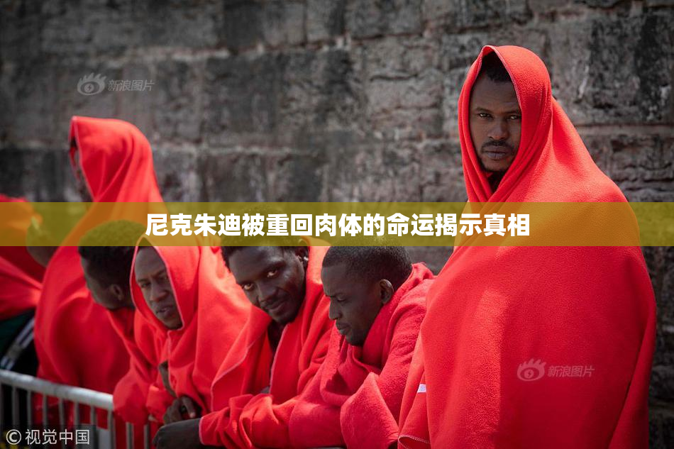 尼克朱迪被重回肉体的命运揭示真相