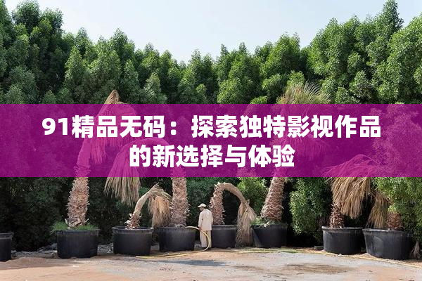 91精品无码：探索独特影视作品的新选择与体验