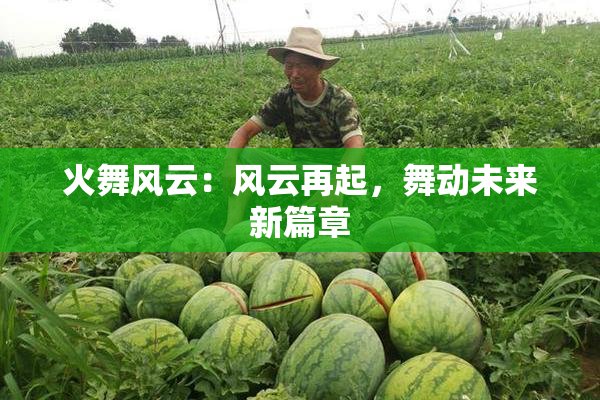 火舞风云：风云再起，舞动未来新篇章