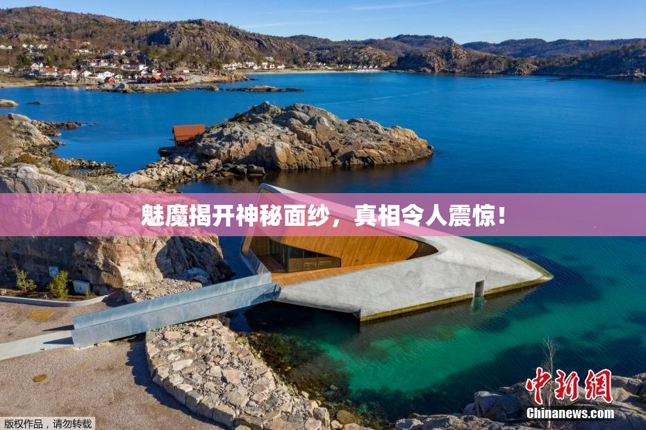 魅魔揭开神秘面纱，真相令人震惊！
