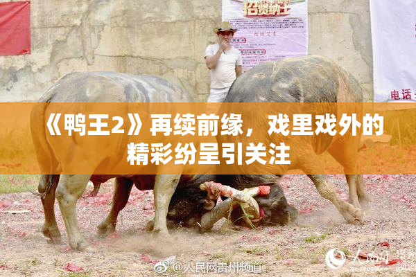 《鸭王2》再续前缘，戏里戏外的精彩纷呈引关注