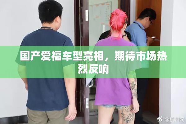 国产爱福车型亮相，期待市场热烈反响