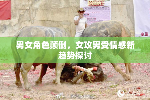 男女角色颠倒，女攻男受情感新趋势探讨