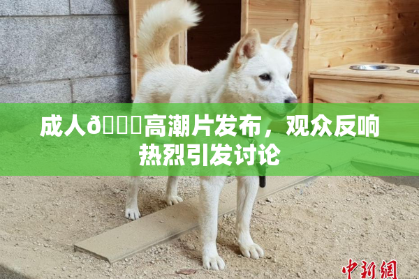 成人🔞高潮片发布，观众反响热烈引发讨论