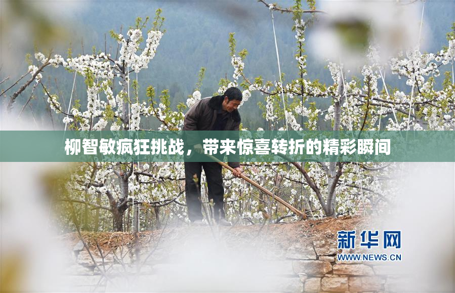 柳智敏疯狂挑战，带来惊喜转折的精彩瞬间