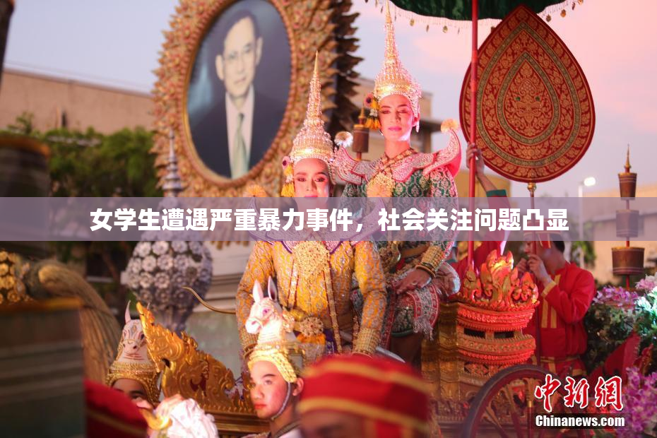 女学生遭遇严重暴力事件，社会关注问题凸显
