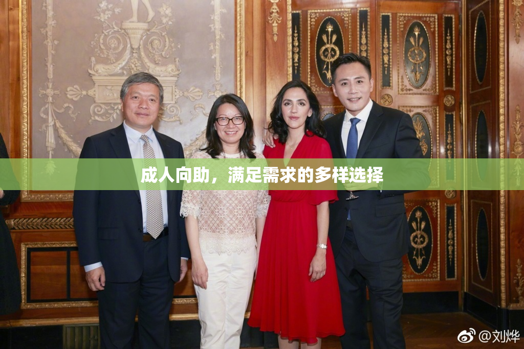 成人向助，满足需求的多样选择