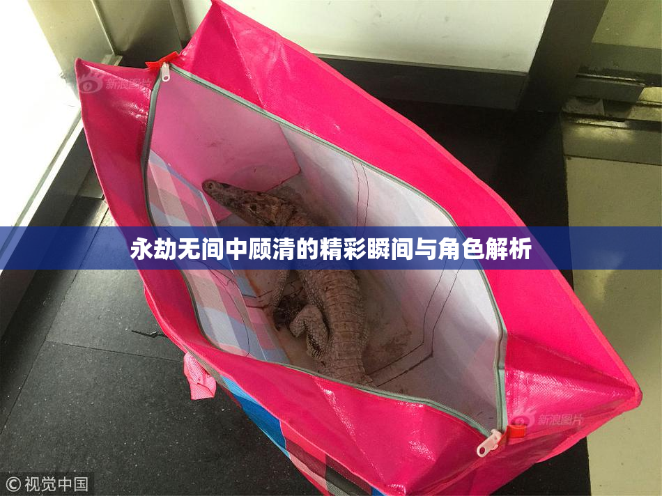 永劫无间中顾清的精彩瞬间与角色解析