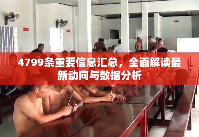 4799条重要信息汇总，全面解读最新动向与数据分析