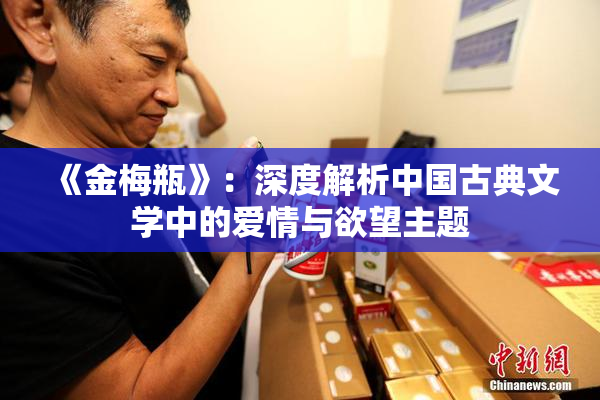 《金梅瓶》：深度解析中国古典文学中的爱情与欲望主题