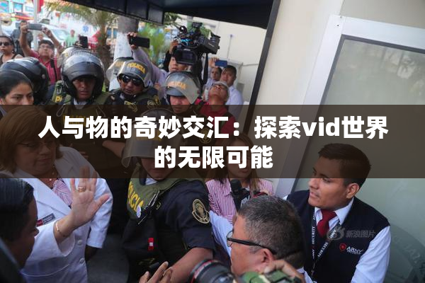 人与物的奇妙交汇：探索vid世界的无限可能