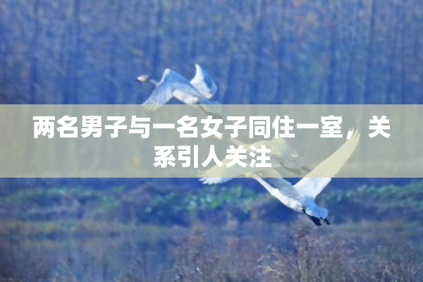 两名男子与一名女子同住一室，关系引人关注
