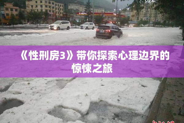 《性刑房3》带你探索心理边界的惊悚之旅