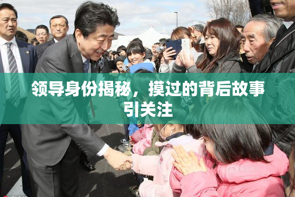 领导身份揭秘，摸过的背后故事引关注