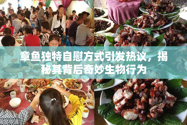 章鱼独特自慰方式引发热议，揭秘其背后奇妙生物行为