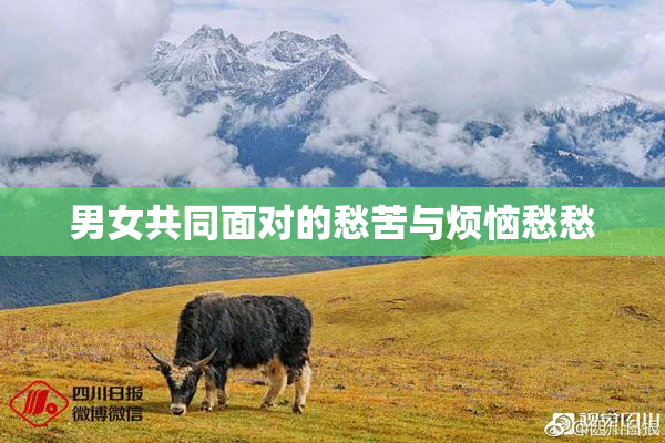 男女共同面对的愁苦与烦恼愁愁