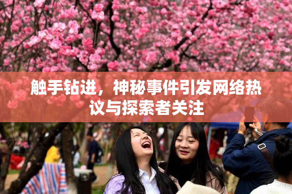 触手钻进，神秘事件引发网络热议与探索者关注