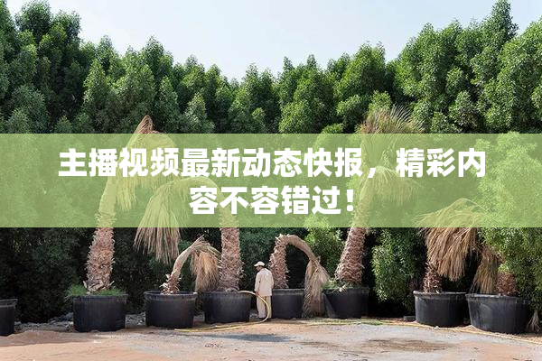 主播视频最新动态快报，精彩内容不容错过！
