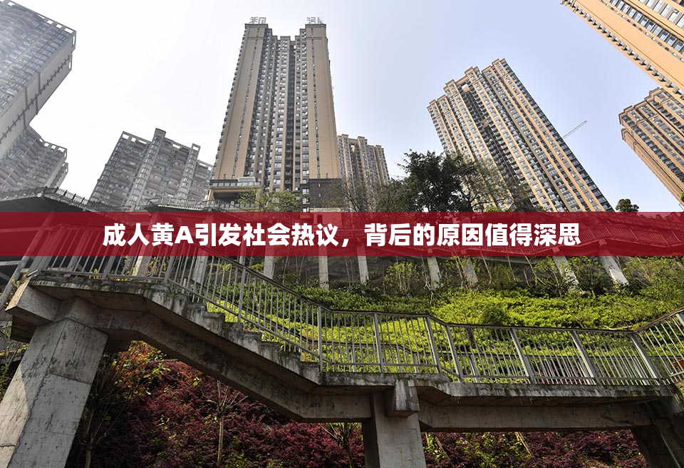 成人黄A引发社会热议，背后的原因值得深思