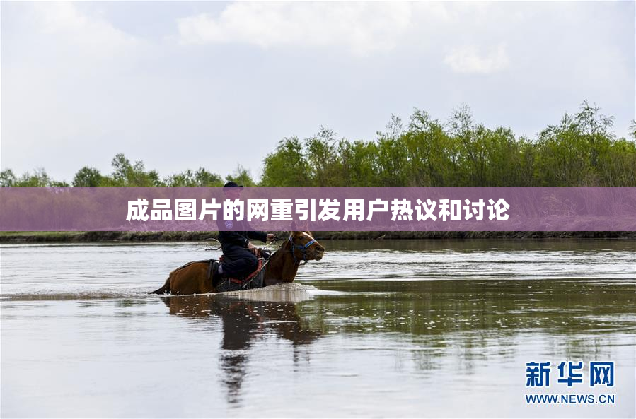 成品图片的网重引发用户热议和讨论