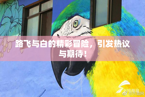 路飞与白的精彩冒险，引发热议与期待！