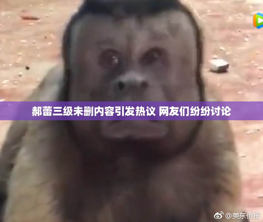 郝蕾三级未删内容引发热议 网友们纷纷讨论