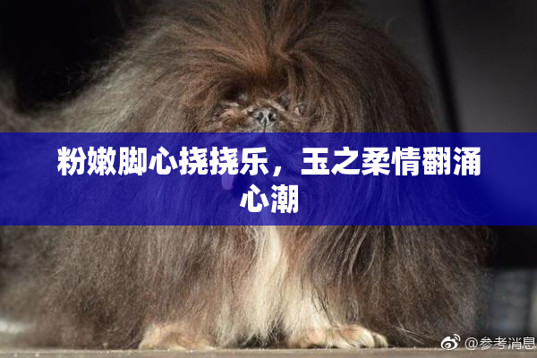 粉嫩脚心挠挠乐，玉之柔情翻涌心潮
