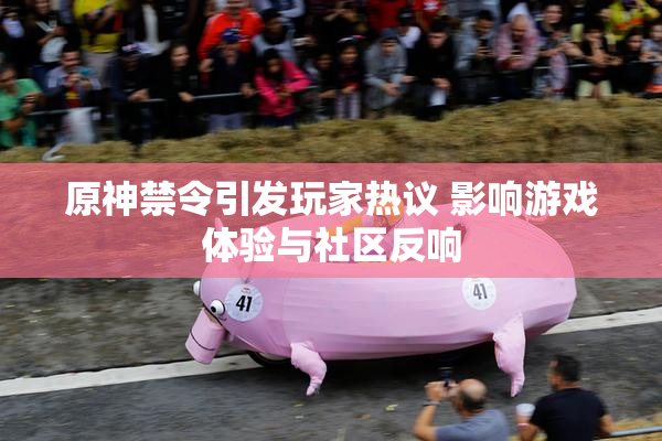 原神禁令引发玩家热议 影响游戏体验与社区反响