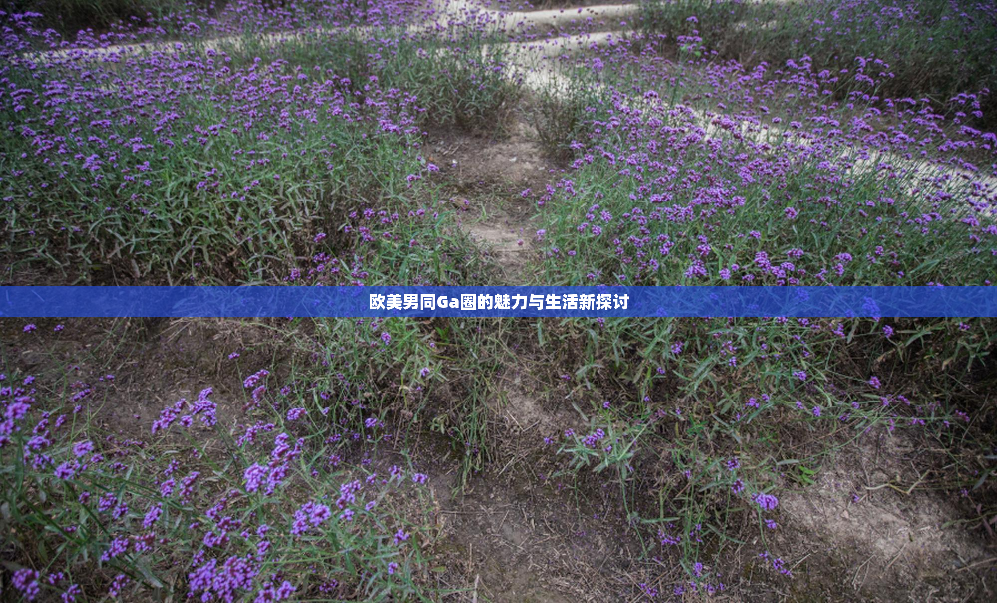 欧美男同Ga圈的魅力与生活新探讨