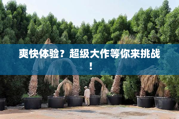 爽快体验？超级大作等你来挑战！