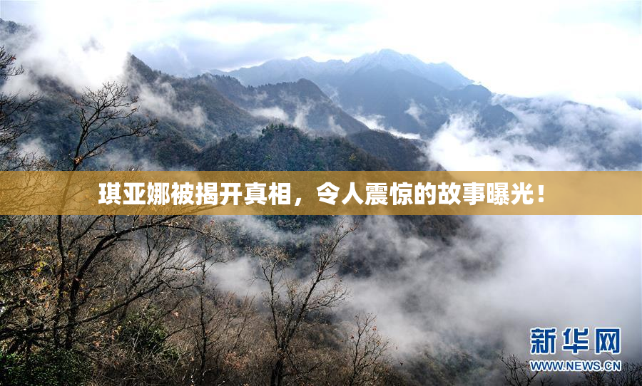 琪亚娜被揭开真相，令人震惊的故事曝光！